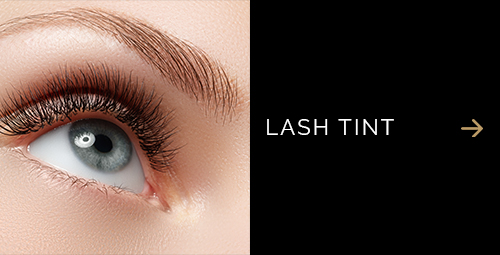 Adore Skin Studio Med Spa Lash Tint